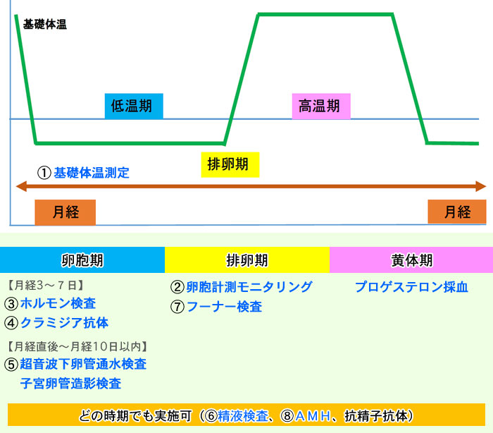 不妊症チャート
